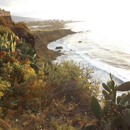 بيت للعطل Banana Paradise *