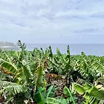 Banana Paradise La Orotava
