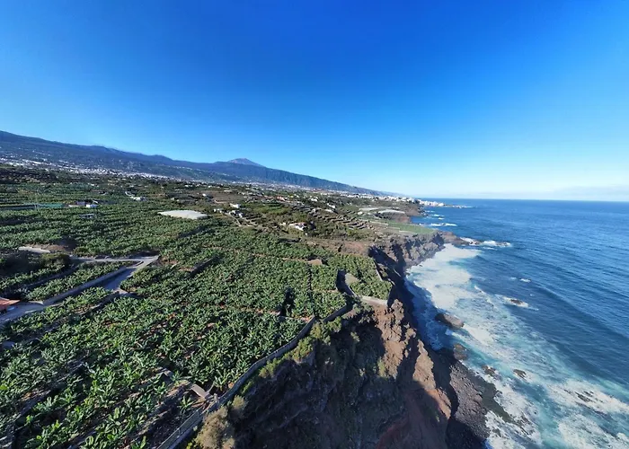 Σπίτι διακοπών Banana Paradise La Orotava