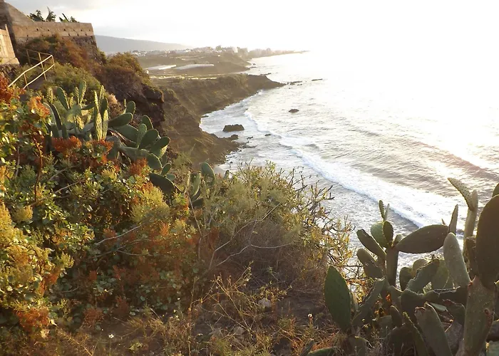 Σπίτι διακοπών Banana Paradise *